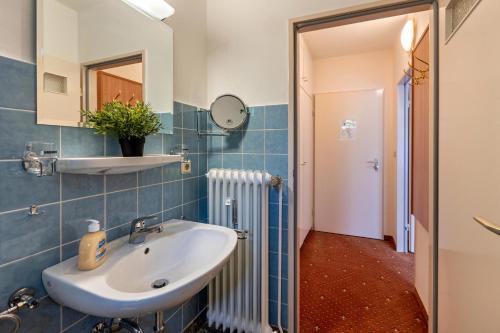 een badkamer met een wastafel en een spiegel bij Aparthotel am Stadtpark in Bad Sachsa