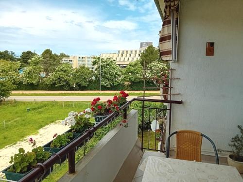 Sea View Apartment Filipo - Porec
