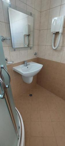 a bathroom with a sink and a mirror at Семеен Хотел ''Кораб Ренеса'' in Ravda