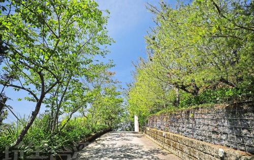 a stone wall with trees on the side of it at 清境 百里莊園 Baili Manor Cing Jing in Renai