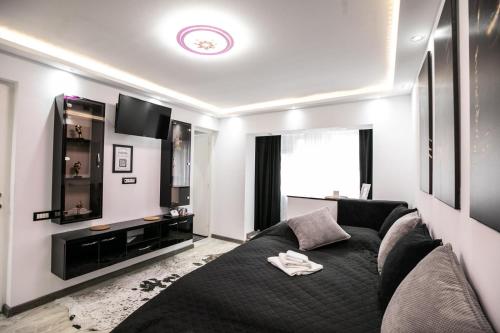 a living room with a black couch and a tv at Black&White mountain - ADULTS ONLY in Petroşani