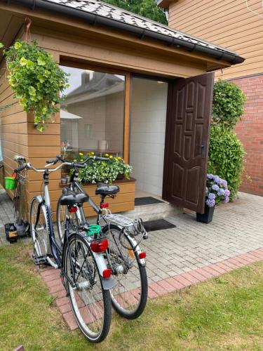 Anar amb bici a Žuvėdrų kiemelis o pels voltants