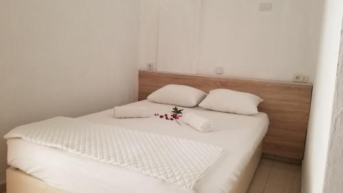 Gallery image of Rosa Negra in Ulcinj
