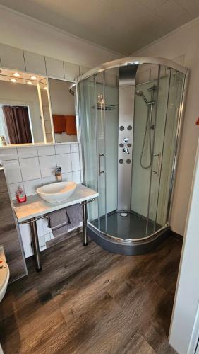 een badkamer met een glazen douche en een wastafel bij Pension Garni Zur Schamper Mühle in Gotthun
