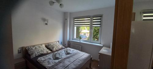 una piccola camera da letto con un letto e una finestra di Apartament JUKI, obok Katowice Wynajem na doby, krótkoterminowy, 2 pokoje balkon, 50m2,- po kapitalnym remoncie 2-ga sypialnia jest częścią salonu blisko Centrum Leczenia Oparzeń 2,5 km a Siemianowice Śląskie