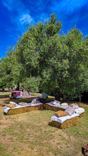 Zahrada ubytování Agriturismo San Michele in Triglie