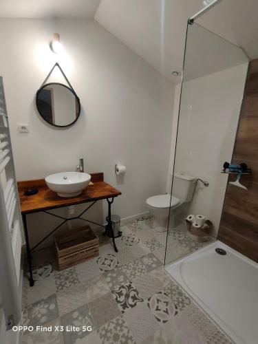 a bathroom with a sink and a toilet and a mirror at Gite à la ferme in Ongles