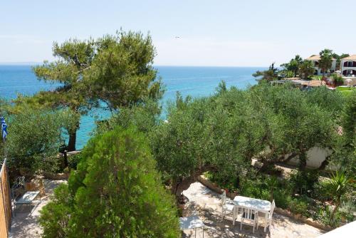 a view of an olive tree and the ocean at SkyBlue Horizon Studio 2 in Tsilivi