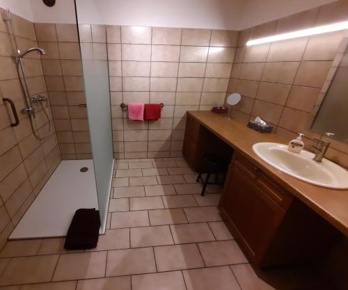 a bathroom with a shower and a sink and a shower at Ferienwohnung Heidi Batzlen in Daisendorf