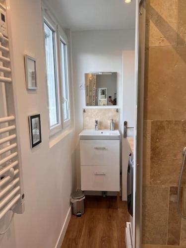 une salle de bain avec un lavabo et un miroir dans l'établissement Cosy Appart - 4 personnes, à Poitiers