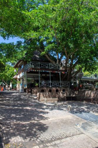 a building with a tree in front of it at Areena Riverside Resort in Kwelera