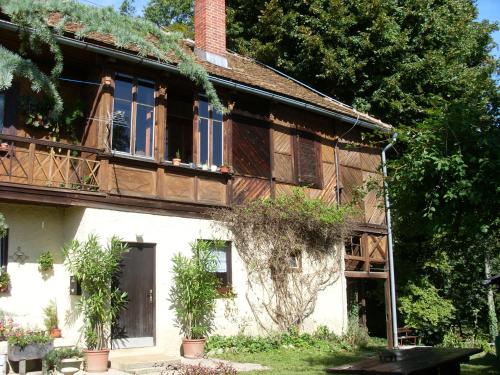 a house with plants on the side of it at Vila Zora in Dobrna