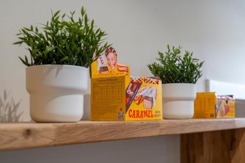 a shelf with three potted plants and a box of chips at Rowardennan Youth Hostel in Rowardennan