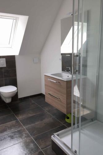 une salle de bain avec une douche, un lavabo et des toilettes dans l'établissement Au grès des pins, à Erquy