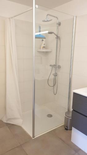 une douche avec une porte vitrée dans une salle de bain dans l'établissement Charmant 2 piece sur les hauteurs, à Chambéry