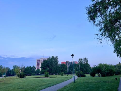a park with a street light and buildings in the background at GIN Apartment No 82 SELF CHECK-IN in Mažeikiai