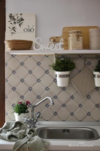 a kitchen sink with potted plants on a shelf at B&B La Foglia Verde in Massa