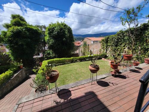 a patio with a row of potted plants in a yard at Adelita Departamento Loja in Loja