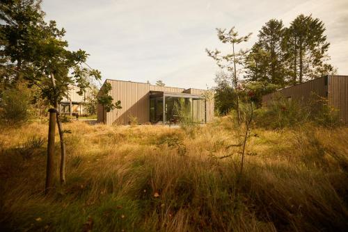 Κήπος έξω από το Dutchen Zeegser Duinen Suitelodges