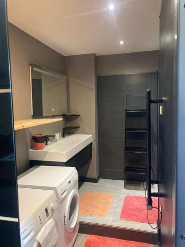 une salle de bain avec une machine à laver et un lavabo dans l'établissement Spacieux T2, agréable et lumineux, à Villard-de-Lans