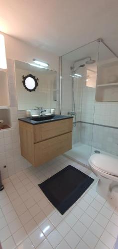 une salle de bain avec un lavabo, une douche et des toilettes dans l'établissement Au cœur de St Tropez, à Saint-Tropez