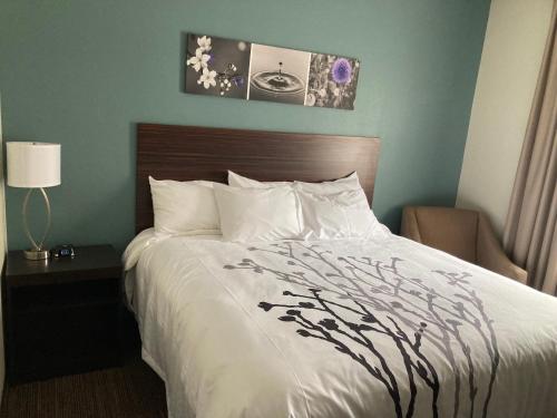 Sleep Inn & Suites في بيدجن فورج: غرفة نوم مع سرير مع لحاف أبيض