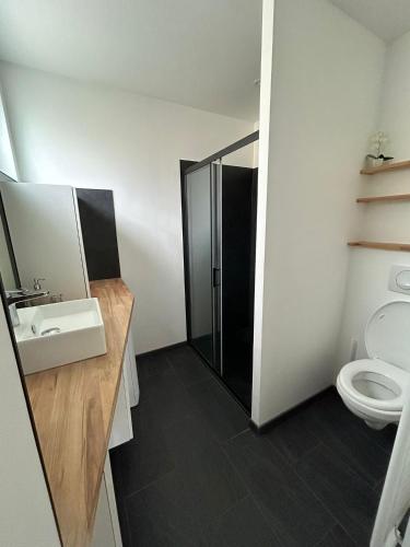 une salle de bain avec douche et toilettes dans l'établissement Studio CF Cosy Proche Gare, Centre Ville et Toutes Commodites, à Sainte-Savine