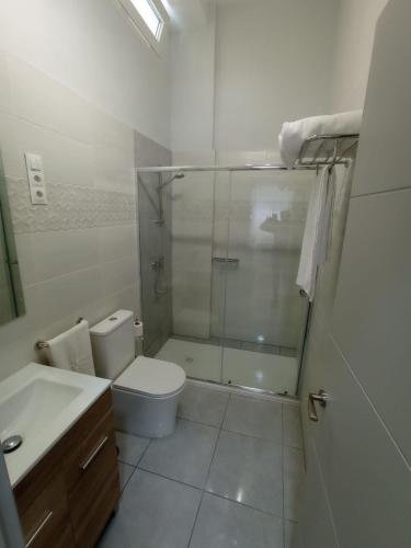 a bathroom with a shower and a toilet and a sink at Xabucas in Pobra do Caramiñal