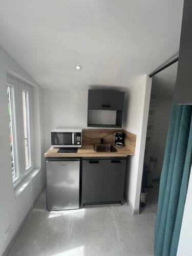 une petite cuisine avec un évier et un micro-ondes dans l'établissement Le Lafayette n 1 appartement Arles, à Arles