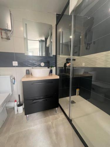 une salle de bain avec un lavabo et une douche en verre dans l'établissement Le Lafayette n 1 appartement Arles, à Arles