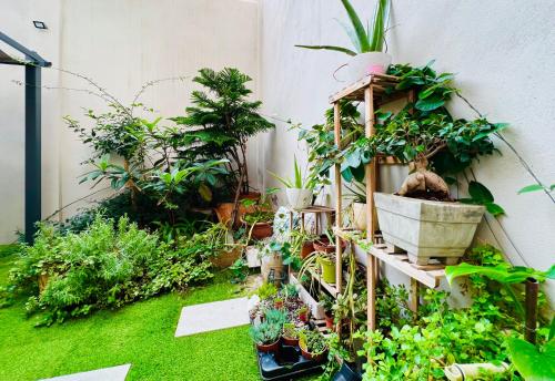 a garden with a bunch of potted plants at Camp Nou Nueva Casa in El Arrabal