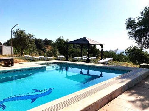 a swimming pool with a shark painted on it at Finca Villa Coral in Cazalla de la Sierra