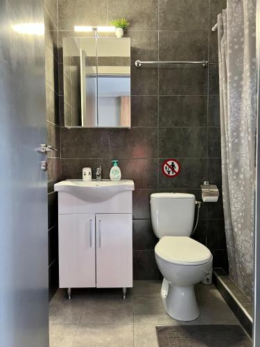 a bathroom with a toilet and a sink and a mirror at Cinque Stelle Apartments in Glífa