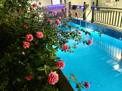 a swimming pool with pink flowers in a building at A Thía homestay in Diện Biên Phủ
