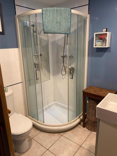 La salle de bains est pourvue d'une cabine de douche et de toilettes. dans l'établissement Maison de l horloge, à Avallon