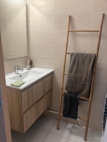 La salle de bains est pourvue d'un lavabo et d'un sèche-serviettes. dans l'établissement VIAS PLAGE - Apt climatisé pour 4 personnes piscine collective, à Vias