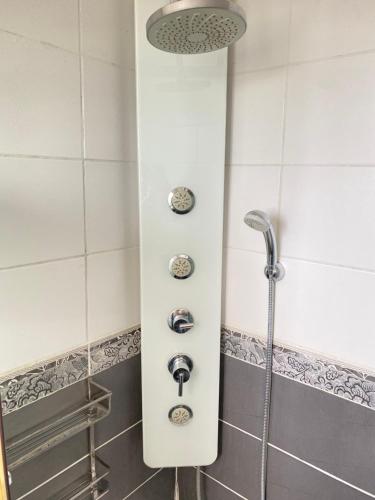 une douche avec pommeau de douche dans une salle de bain dans l'établissement Appartement Lumineux Camargue, au Grau-du-Roi