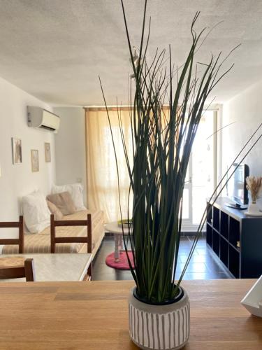 une plante dans un vase sur une table dans un salon dans l'établissement Appartement Lumineux Camargue, au Grau-du-Roi