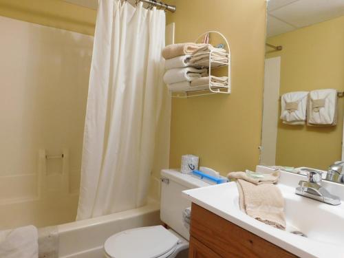W łazience znajduje się toaleta, umywalka i prysznic. w obiekcie Oak Square Rentals w mieście Gatlinburg
