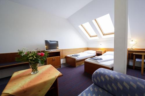 TV a/nebo společenská místnost v ubytování Hotel Peliny