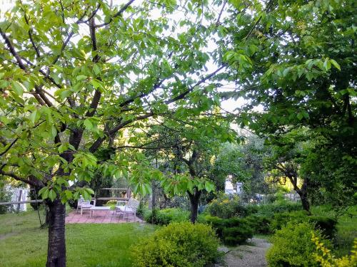 un parque con un banco y algunos árboles y césped en B&B la Concordia, en Serravalle Pistoiese