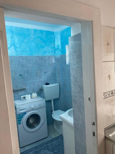 a bathroom with a washing machine and a toilet at Comaniciu Sorin in Făgăraş