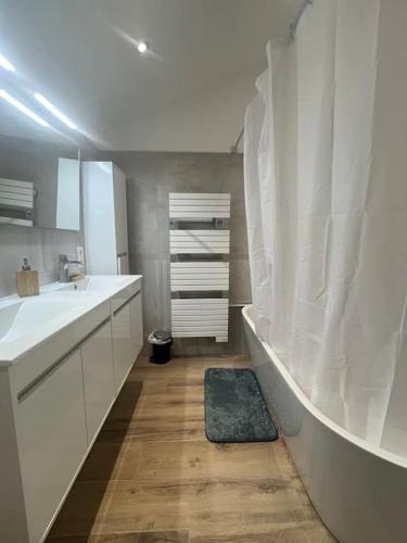 une salle de bain blanche avec un lavabo et une douche dans l'établissement Le Lafayette n2 Appart Arles, à Arles