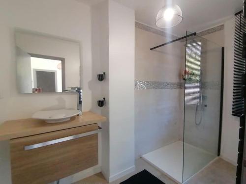 une salle de bain avec une douche en verre et un lavabo dans l'établissement Maison de village au cœur des causses des Cévennes, à La Vacquerie-et-Saint-Martin-de-Castries