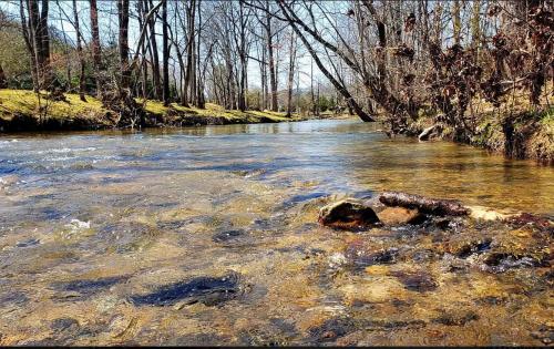 Peisaj natural din apropierea acestui chalet