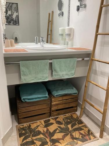 ein Badezimmer mit einem Waschbecken und einer Theke mit Handtüchern in der Unterkunft Chambres d’hôtes de l’Ancienne Auberge in Thaon
