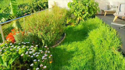 Gallery image of Casa Panorama Sol in Ponta do Sol
