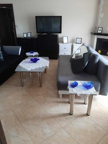 TV a/nebo společenská místnost v ubytování eleni house near Asprovalta Ν3