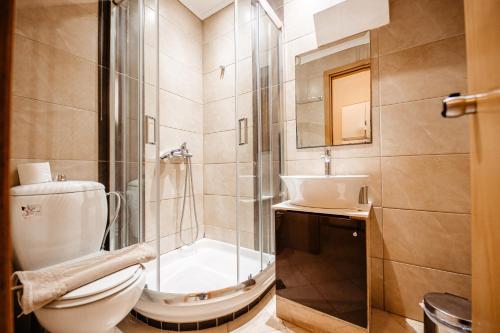 a bathroom with a shower and a toilet and a sink at Hotel Marialena in Potos