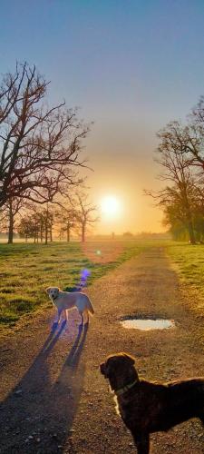 Photo de la galerie de l'établissement Residence Les Cascades, à Chantilly